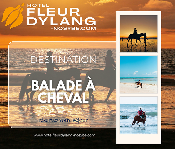 Balades à Cheval